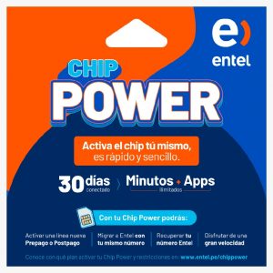 chip-entel-2